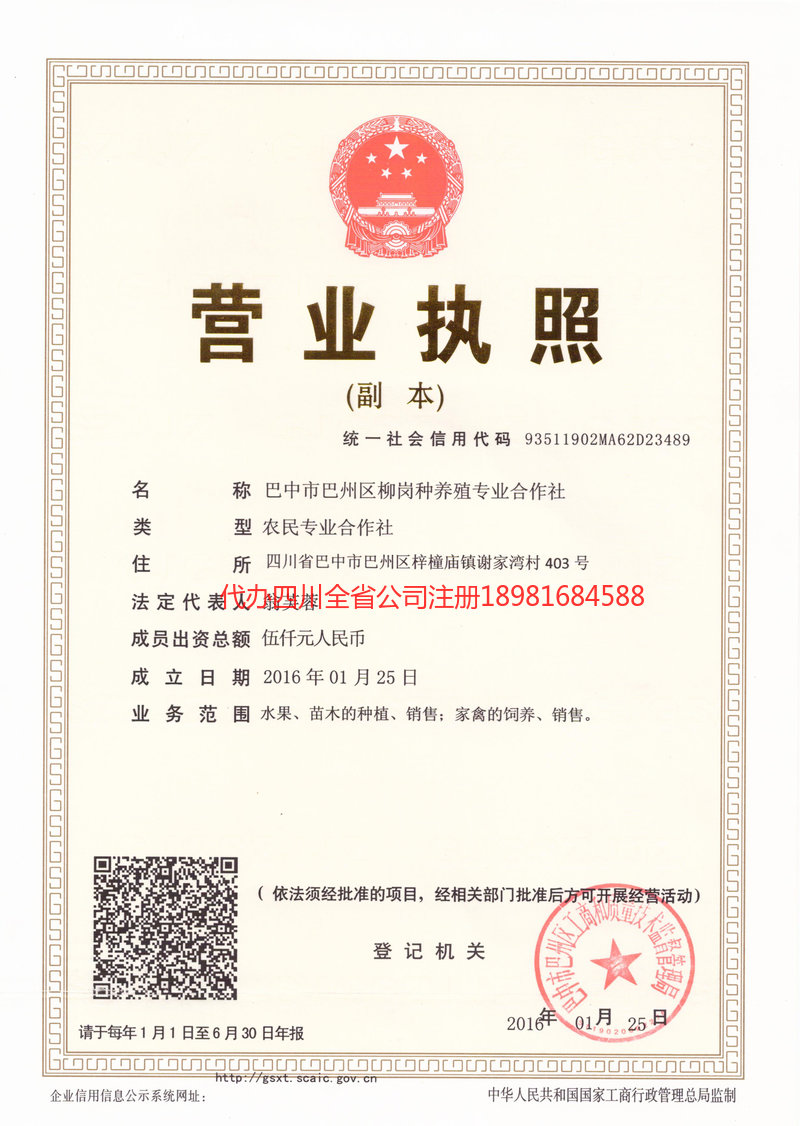 新泰新泰柳岗种养殖专业合作社